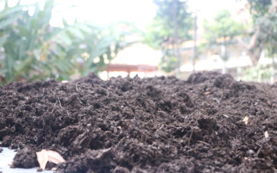 FIS UM Memanfaatkan Sampah Organik menjadi Kompos