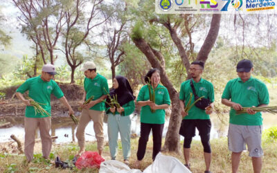 Dosen PIPS UM Melakukan Kegiatan Konservasi Mangrove di Pantai Jolosutro