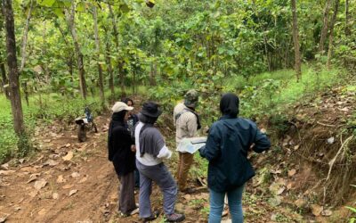 Tim Peneliti Bedah Longsor di KHDTK Malang Selatan dengan Drone hingga Geolistrik